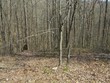 lot 28 hunters s landing lane, smithville,  TN 37166