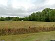 231 big estate cir, yemassee,  SC 29945