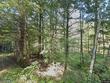 3645 e muskesin ln, lac du flambeau,  WI 54538