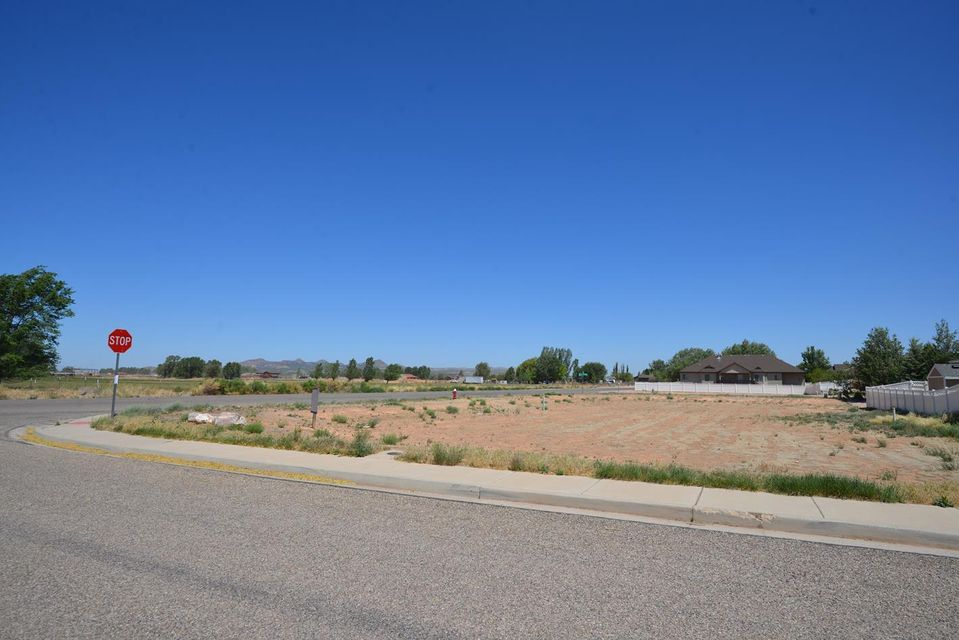 3886 w 1350 n, cedar city,  UT 84721