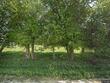 319 s woodward rd, salina,  KS 67401