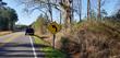  cottageville,,  SC 29435