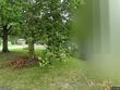 12801 winchester ave, grandview,  MO 64030