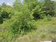 1808 n 18th st lot 3
                                ,Unit Lot 3, wausau,  WI 54403