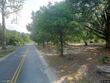 109 crosby st, walterboro,  SC 29488