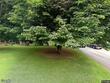 168 highland hill dr, jefferson,  NC 28640