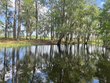 148 castlebury rd, walterboro,  SC 29488