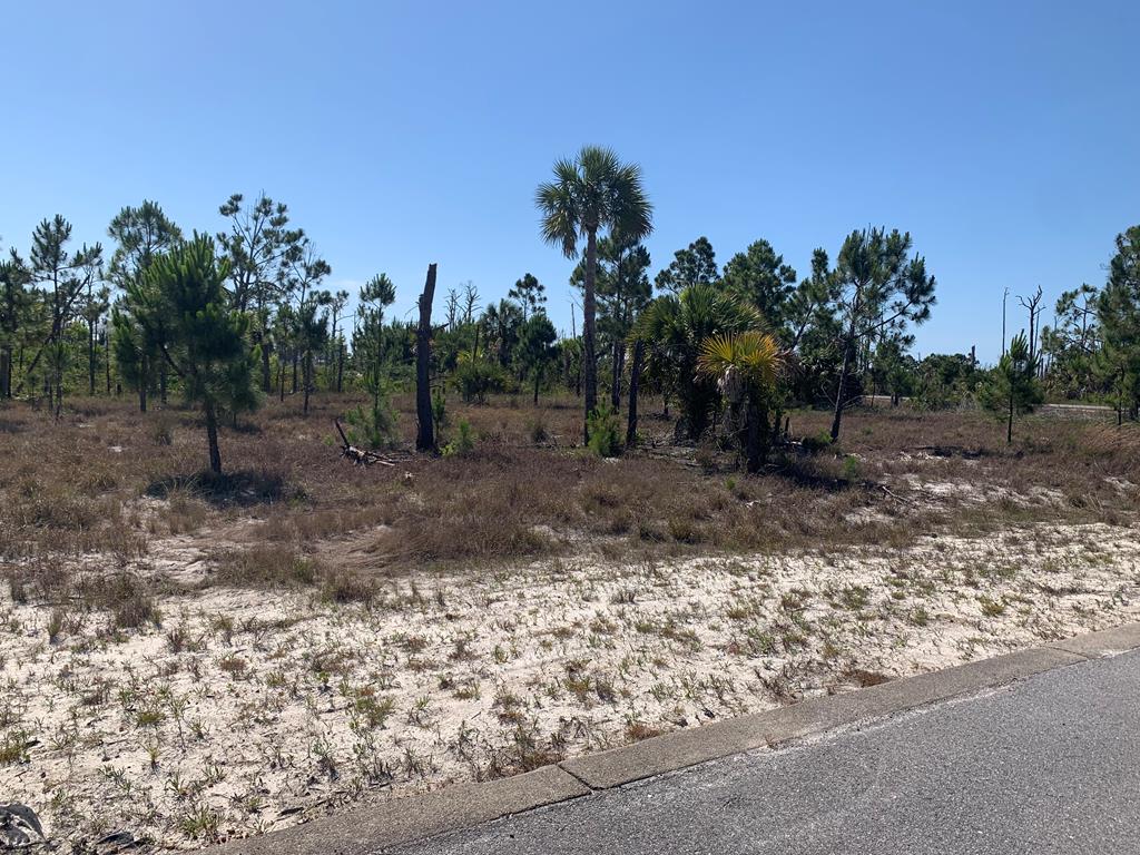 lot 6 hemmingway cr, port st. joe,  FL 32456