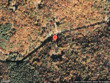 2291 pine swamp rd, fleetwood,  NC 28626