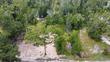 lot 24 pine ave, wewahitchka,  FL 32465