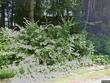 45 top rd, northfield,  VT 05663