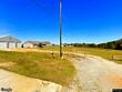 313 blake dr, midland city,  AL 36350
