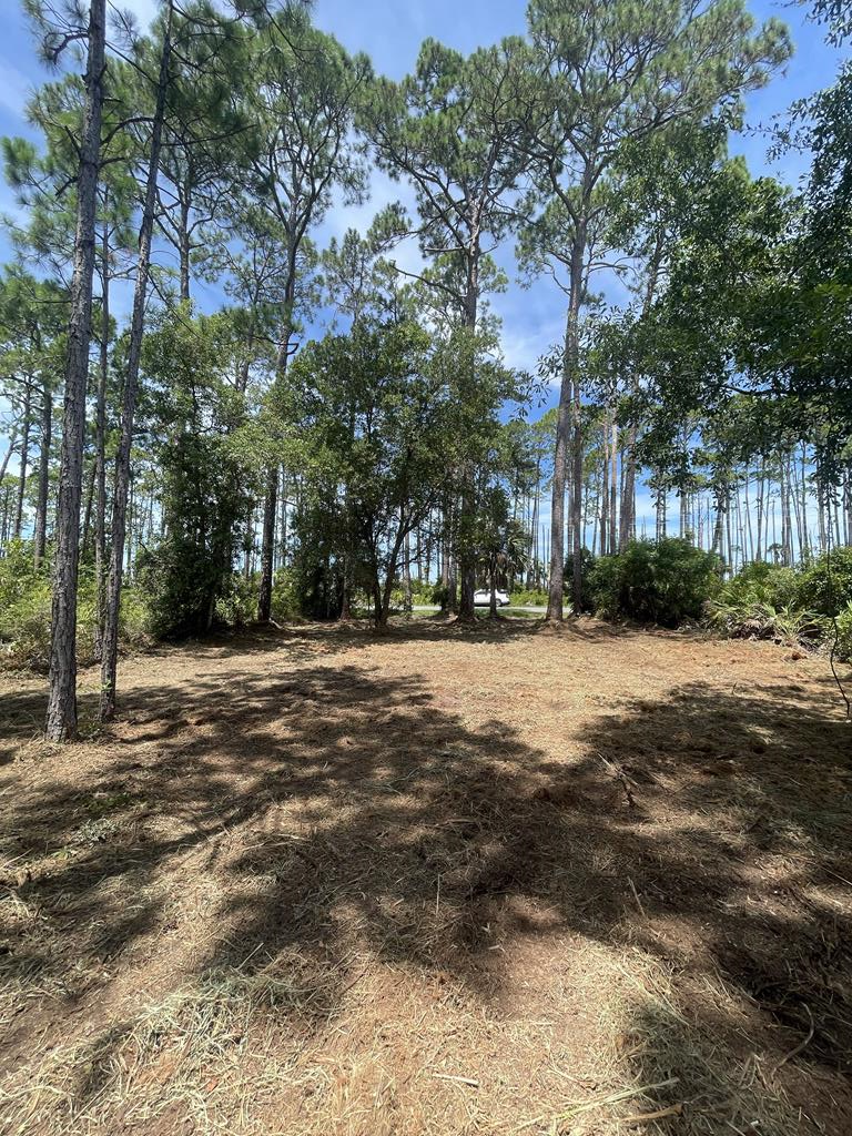 lot 9 sr 30-a, cape san blas,  FL 32456