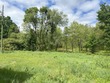 81398 42nd st, decatur,  MI 49045
