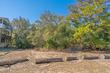 2712 laroche st, edisto island,  SC 29438