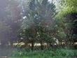 4120 clarks ferry rd, draper,  VA 24324