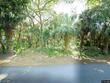 3322 myrtle st, edisto island,  SC 29438