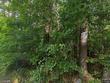 104 del ray dr, walterboro,  SC 29488
