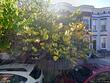 845 wellington st, baltimore,  MD 21211