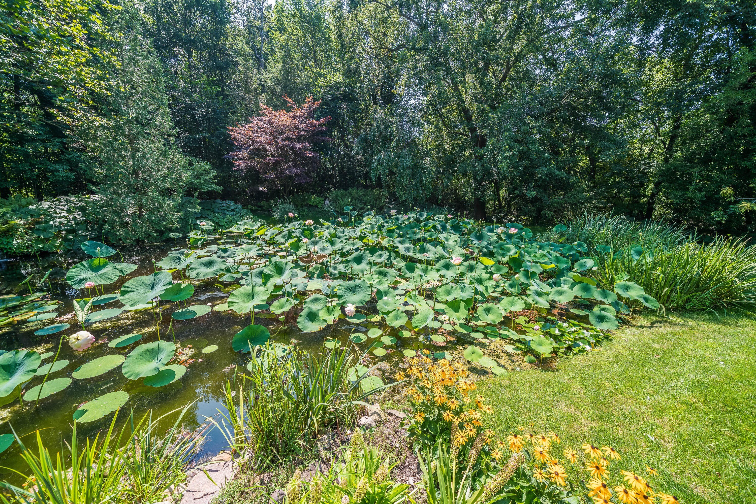 73369 2nd ave, south haven,  MI 49090