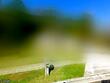 226 oxford cir, rincon,  GA 31326