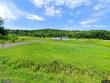 177 clendening rd, harpursville,  NY 13787