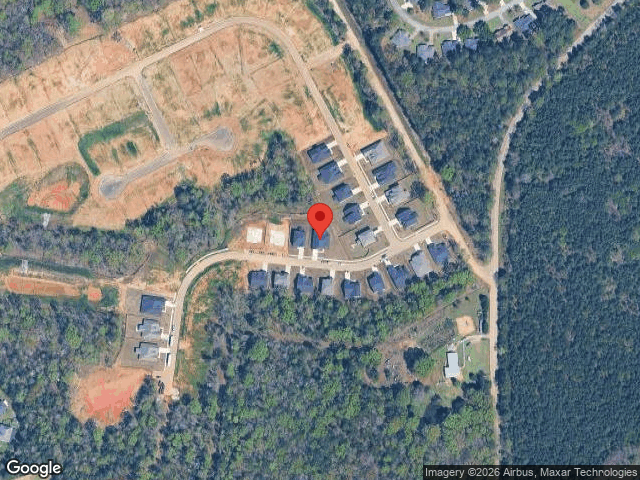 134 collins cove drive, chapin,  SC 29036