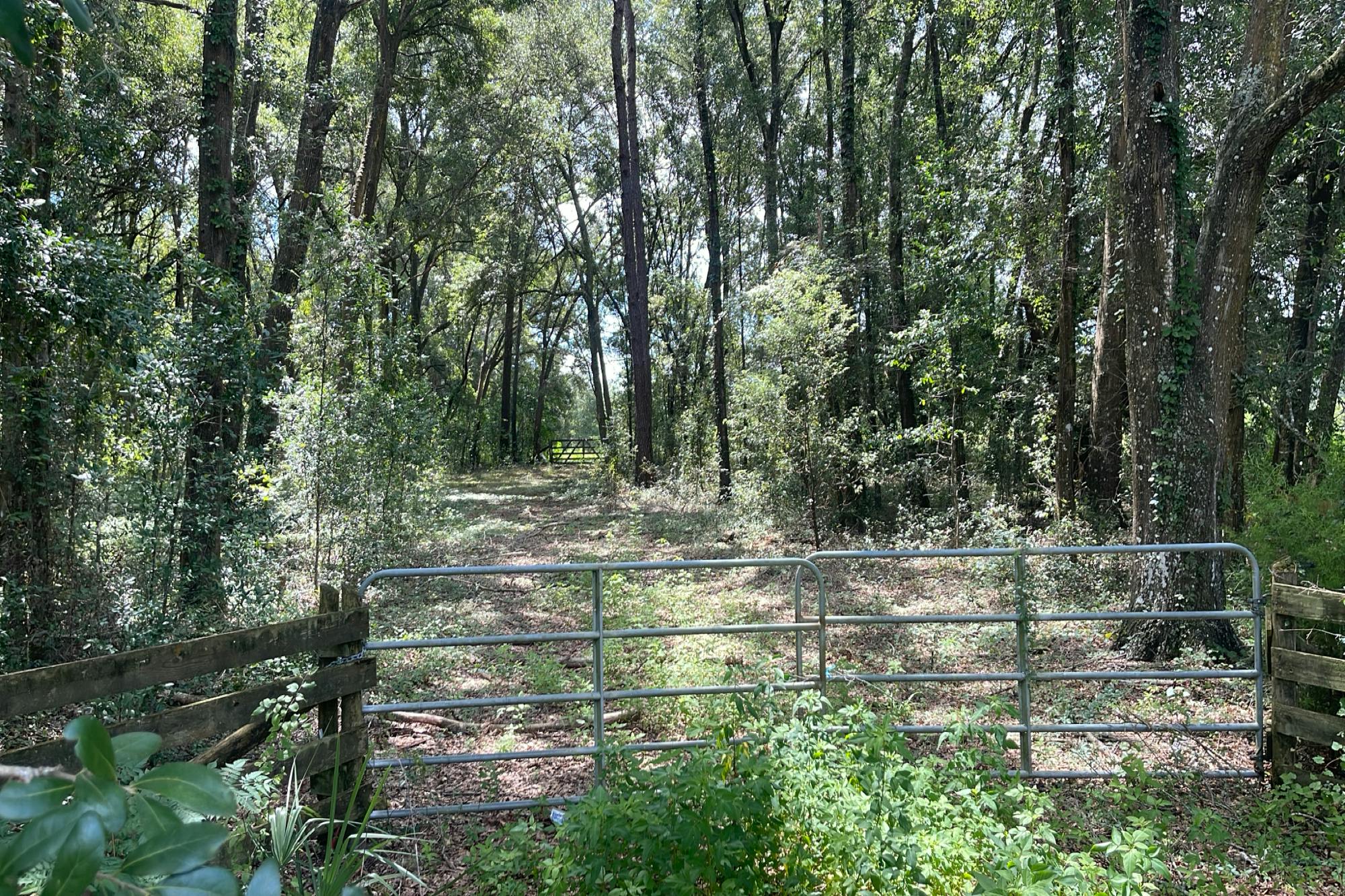  williston,  FL 32696