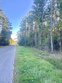 689 bryant landing rd, wewahitchka,  FL 32465