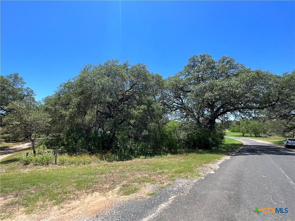 7 county road 158, floresville,  TX 78114