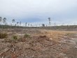 0 mt. carmel rd, walterboro,  SC 29488