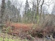  renton,  WA 98059