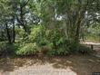  lake panasoffkee,  FL 33538