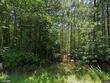 1326 bear creek road lot 28, blythewood,  SC 29016