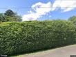 118 colvard st, jefferson,  NC 28640