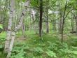 lot 7 riverview dr # 1.52 ac, st germain,  WI 54558