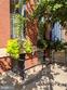 18 e madison st, baltimore,  MD 21202