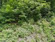 7 whitman st, mexico,  ME 04257