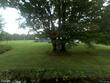 778 hammerle rd, mcdonough,  NY 13863