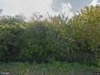 1450 se bridge rd, hobe sound,  FL 33455