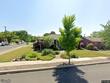 1640 fredna ave, williamsport,  PA 17701