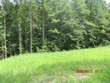 lot 46-47 spring lane, henderson,  NC 27537