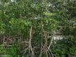 9524 se cove point st, jupiter,  FL 33469