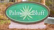 185 palmetto bluff trail # plan: the lakeside, port st. joe,  FL 32456