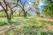3202 overcup oak dr, austin,  TX 78704