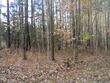 lot 10 sarah lane lane, henderson,  NC 27537