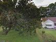 127 n bullock st, henderson,  NC 27536
