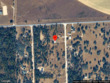  williston,  FL 32696