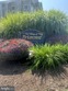 1514 lexington way, morgantown,  PA 19543