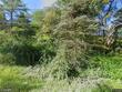 6813 glen haven rd, niles,  NY 13077